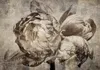 Vlies Fototapete - Industrial Bunch 100x70 cm Blumen Produktbild-Vorschau 5