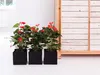 Bloomique - Anthurium - Flamant rose - Rouge - Plante Voir les images du produit 2