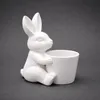 Keramik Hase mit Topf Weiß 20cm – Blumentopf & Osterdeko Produktbild-Vorschau 3