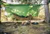AMAZONAS Outdoor Plane Traveller Tarp XXL Produktbild-Vorschau 4