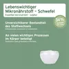 AniForte MSM Pulver für Pferde 1,5 kg - Hochreines Produktbild-Vorschau 4