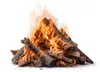 Heizfuxx Brennholz Buche 25 cm 500kg Produktbild-Vorschau 5