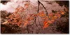 Tulup® Leinwandbild - 140x70 cm - Wandkunst - Drucke auf Produktbild-Vorschau 1