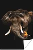 MuchoWow® Poster Elefant - Schwarz - Papagei 120x180 cm - Produktbild-Vorschau 1