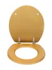 A toilet seat and lid, open, on a white background. Produktbild-Vorschau