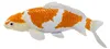 Mojo Kapr koi ochiba shigure Podgląd zdjęcia produktu 3