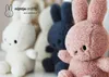 A line of Miffy teddy bears in different colors. Produktbild-Vorschau