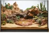 Terrario Natural Bowl – Terrarium-Schale 20x17x3 cm Produktbild-Vorschau 6