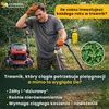 Microjetel à petites feuilles + Herbe : semences vivaces Voir les images du produit 4