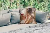 MuchoWow® Outdoor Kissen - Gemälde - Ölfarbe - Frau - Wein Produktbild-Vorschau 2