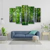 5-teiliges leinwandbild birke waldgrün 100x70 cm Feeby grün Produktbild-Vorschau 3