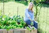 Unkrautstecher Unkrautenferner Löwenzahnstecher Unkraut Produktbild-Vorschau 8