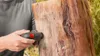 Bosch EasyCurvSander 12, Szlifierka tarczowa, Rzep, Czarny, Podgląd zdjęcia produktu 7
