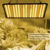 A grow light is shown suspended above a cluster of succulents. Produktbild-Vorschau