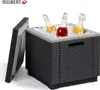 Allibert by Keter Side Table Ice Cube, grafitový, chladiaci Náhľad obrázku produktu 23
