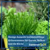 Mutterkraut |  Kräutersamen von Bingenheimer Saatgut Produktbild-Vorschau 6
