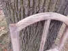 A close-up of a wooden window frame leaning against a tree trunk. Produktbild-Vorschau