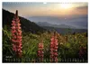 Faszination Schwarzwald (Wandkalender 2027 DIN A3 quer), Produktbild-Vorschau 11