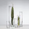 SANDRA RICH, Solifleur, schlanke Glas Vase 6 x 24cm Produktbild-Vorschau 5