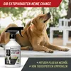 A dog scratching itself with a bottle of flea spray in the foreground. Produktbild-Vorschau