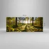 Bilder auf glas - Wald Baum Natur - 100x40cm - Glasbilder - Produktbild-Vorschau 3