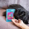 Akinu BITES & FUN jahňacie kúsky pre mačky 60 g Náhľad obrázku produktu 2
