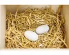 Oeuf En Bois Idéal Pour Loisirs Créatifs Et Décoration. - Voir les images du produit 5