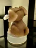 Kremers Schatzkiste Spardose Hund Haustierkasse 17 x 11x9cm Produktbild-Vorschau 5