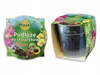 A product image showing a package of orchid soil with a pot, presented in a collage format with two distinct views. Produktbild-Vorschau