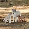 schleich WILD LIFE Wilczyca ze szczenięciem, 3 lat(a), Podgląd zdjęcia produktu 13