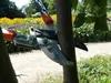Pruning shears are being used to cut a tree branch in a garden setting with flowers in the background. Produktbild-Vorschau