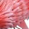 KADAX Flamingo Statue 76 cm, große Gartenfigur aus Produktbild-Vorschau 10
