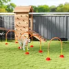 PawHut Agility Set voor Honden: 4-delige agility-uitrusting Productafbeelding-voorbeeld 2