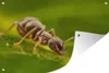 MuchoWow® Produktbild-Vorschau 1
