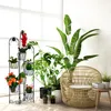 A collection of potted plants displayed on a black metal stand next to a wicker chair and a small wooden table. Náhľad obrázku produktu