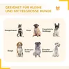 PawHut Welpenauslauf Welpengehege modulares Design 16 Produktbild-Vorschau 4