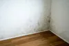 Cillit Bang Schimmelentferner 750ml Bad Küche Fliesen WC Produktbild-Vorschau 5