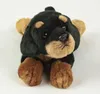 A plush toy dog lying down on a white background. Produktbild-Vorschau