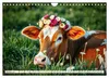 Zauberhaft geschmücktes Milchvieh (Wandkalender 2027 DIN A4 Produktbild-Vorschau 13