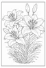 Blumen Malbuch für Erwachsene mit 50 schönen Ausmalmotiven Produktbild-Vorschau 5