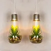 2er Set LED Glühbirne Sukkulenten H19cm Grün Deko Lampe Produktbild-Vorschau 5