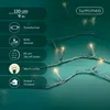 Kaemingk Lumineo LED-Lichterkette Basic mit Dimmer 120 LED Produktbild-Vorschau 12