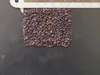 Kwiat nietoperza (Tacca chantrieri)  – 10 nasion Podgląd zdjęcia produktu 3