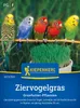 Kiepenkerl Rasensamen Ziervogelgras Frischgrün Mischung für Produktbild-Vorschau 1