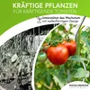 Tomatenspiralen aus Stahl Ø 5,6 mm Tomatenspiralstäbe Ranke Produktbild-Vorschau 7