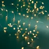 Lumineo Lichterkette STRING LIGHTS 240 LED 12 m klassisch Produktbild-Vorschau 2