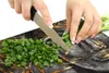 Herdabdeckplatten Glaskeramikkochfeld-Abdeckung Produktbild-Vorschau 9