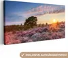 MuchoWow® - Leinwandbilder - Heide bei Sonnenuntergang, Produktbild-Vorschau 1