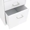 vidaXL Szafka na dokumenty na kółkach biała 28x41x69 cm Podgląd zdjęcia produktu 5