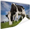 MuchoWow® Poster Kuh - Schwarz - Weiß - Lebensmittel Produktbild-Vorschau 1